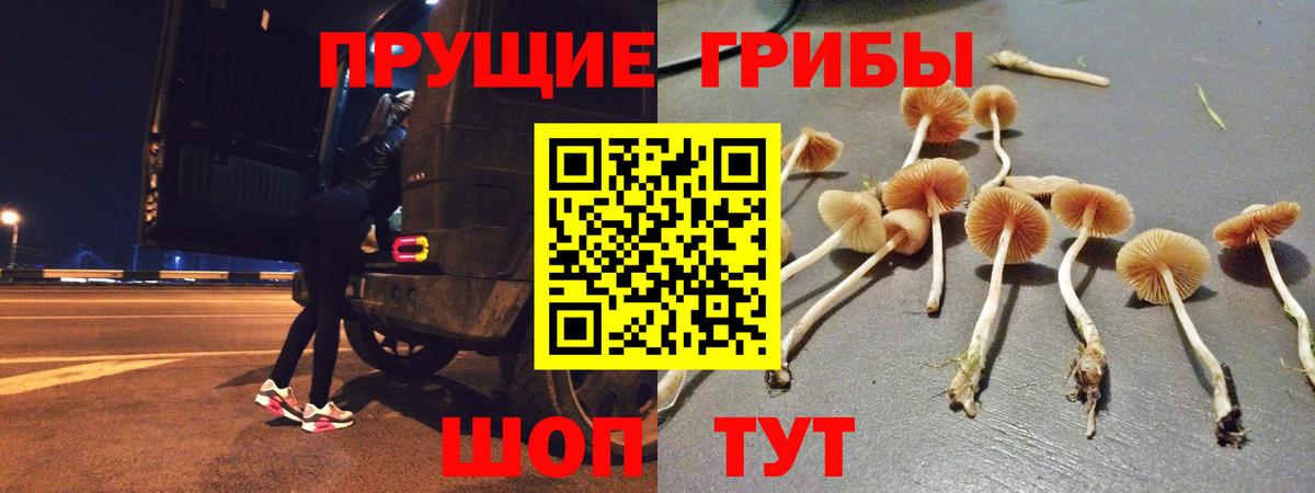 Галлюциногенные грибы прущие грибы  Вход с VPN  Псилоцибиновые грибы Cubensis  Казань 